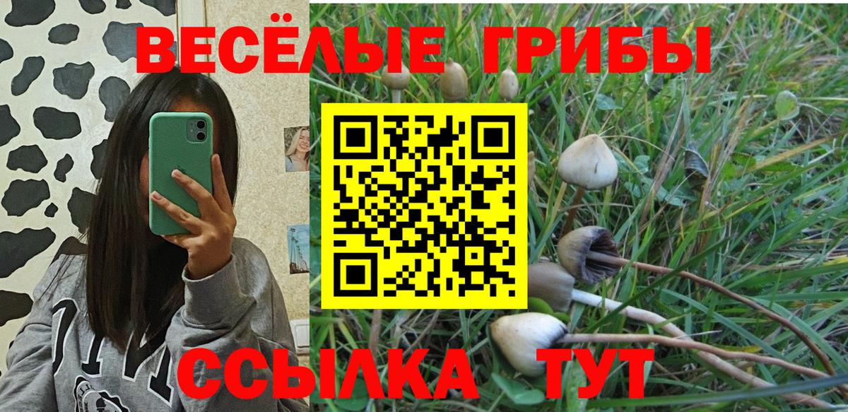 Галлюциногенные грибы Psilocybe  Вход с VPN  хочу наркоту  Тимашёвск 